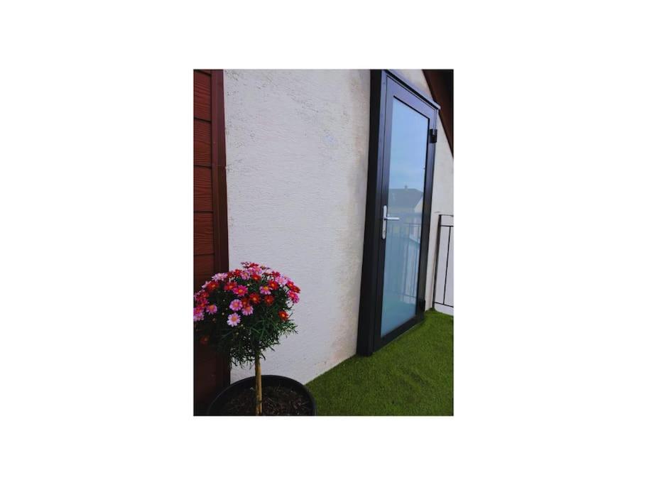 Appartement Cosy Proche Centre Colmar Exterior foto